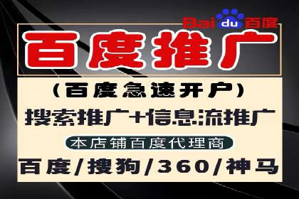 百度SEO推广案例：实战解析与效果展示
